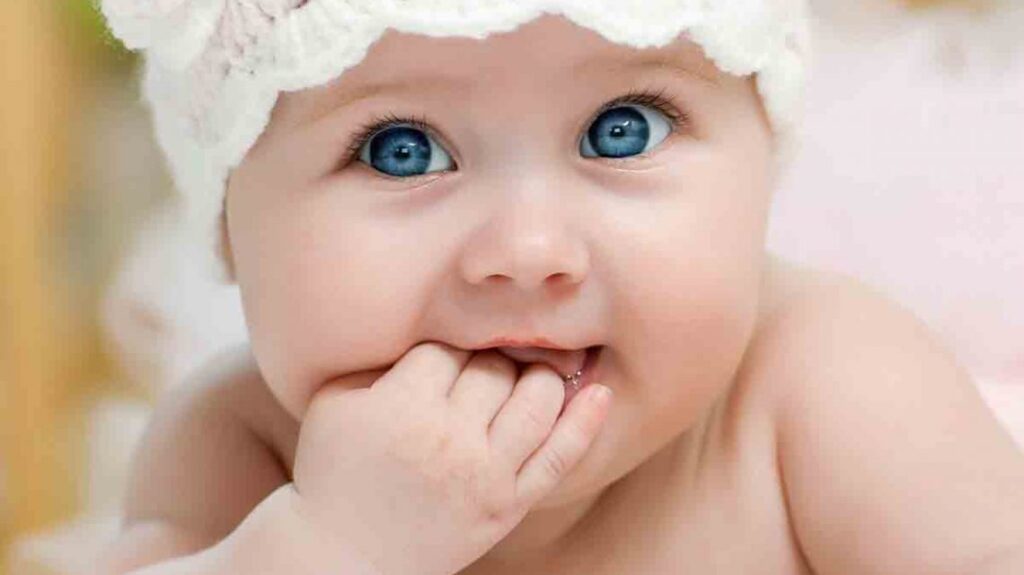 اجاره دستگاه زردی نوزاد